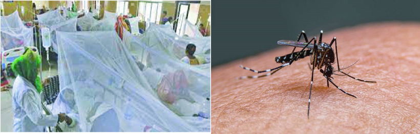 77ebed2b-e7fd-4406-bd39-91547fdaf67f34085